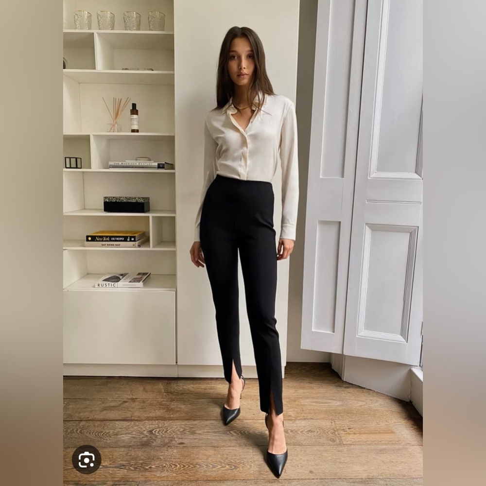 Aritzia Babaton Jotham Pant